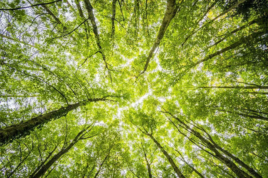 Green Marketing